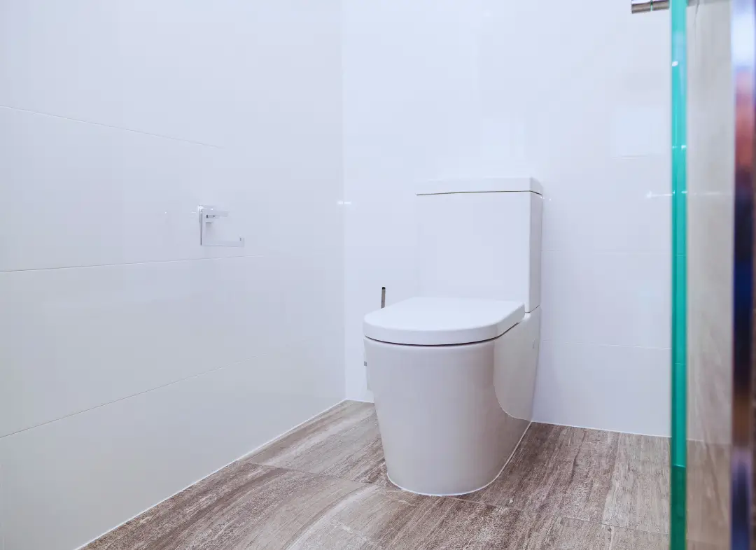 Remplacement de wc Véretz