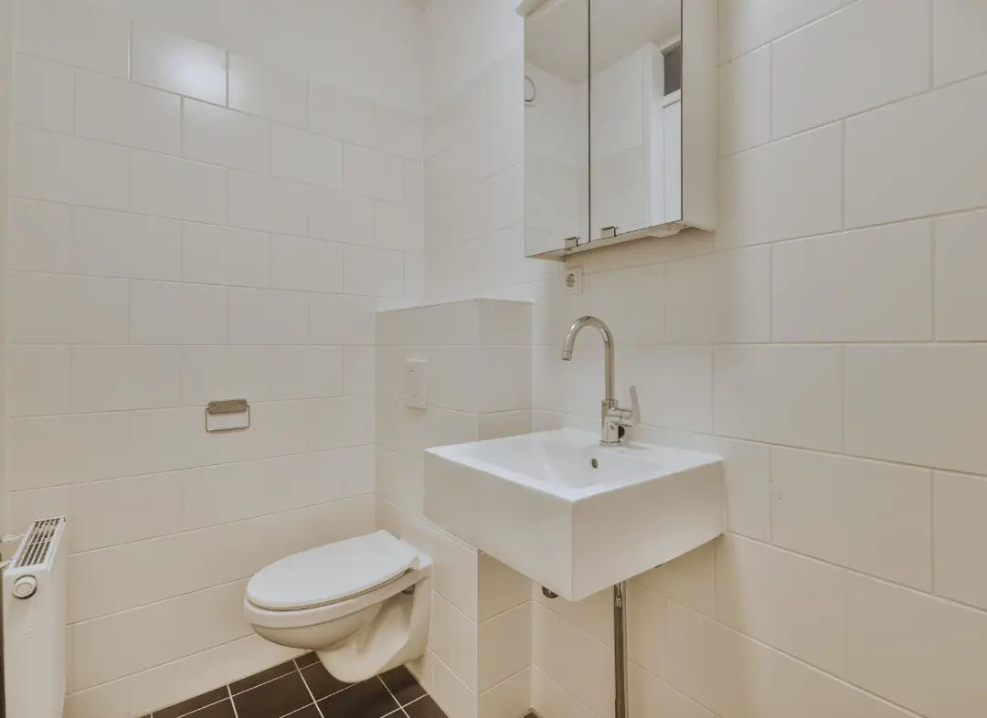 Pose WC Suspendu Véretz